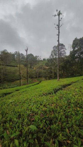 Valparai stay home